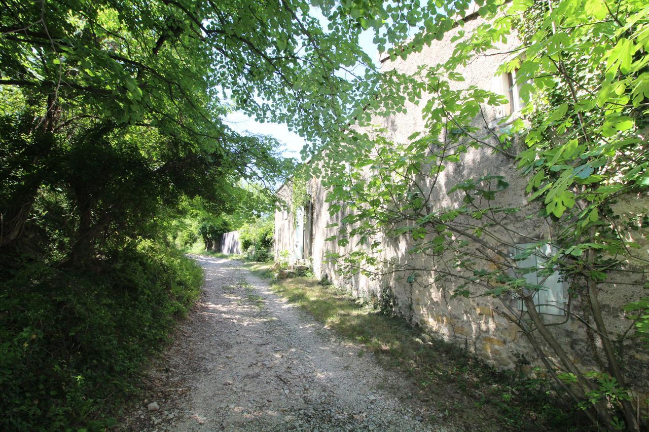Chateau De Fontblachere Saint-Lager-Bressac Exterior photo